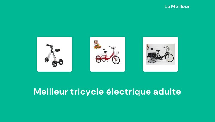 46 Meilleur tricycle électrique adulte en 2022 [Basé sur 708 avis]