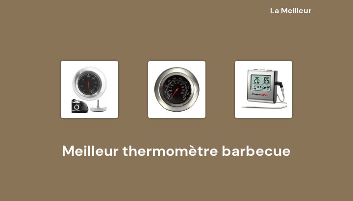 50 Meilleur thermomètre barbecue en 2023 [Basé sur 208 avis]